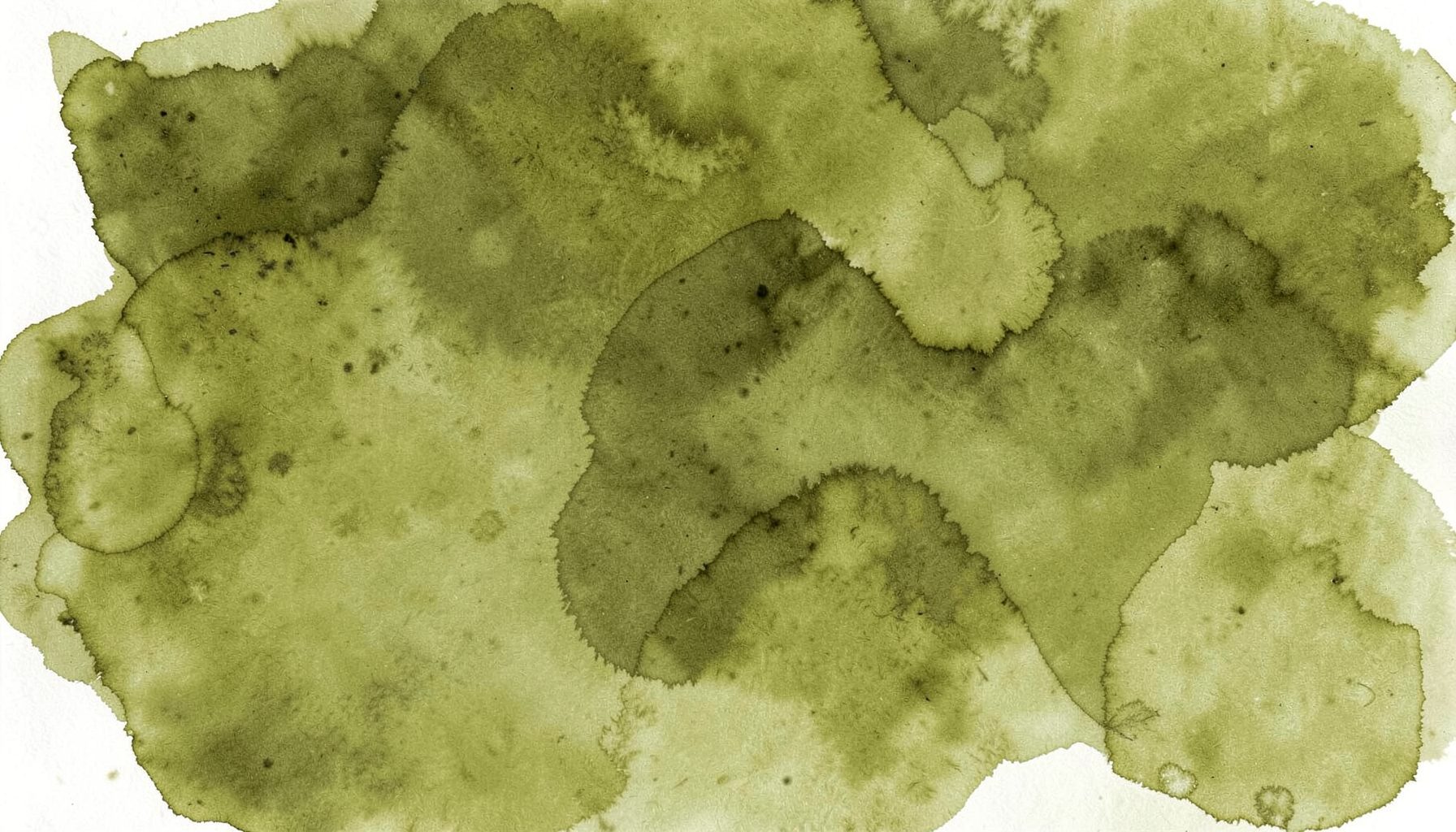 An olive-green abstract wash of color with organic shapes, earthy and serene